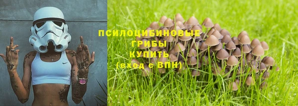 не бодяженный Аркадак
