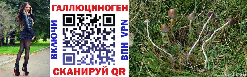 купить наркотики цена  Чапаевск  Галлюциногенные грибы ЛСД 