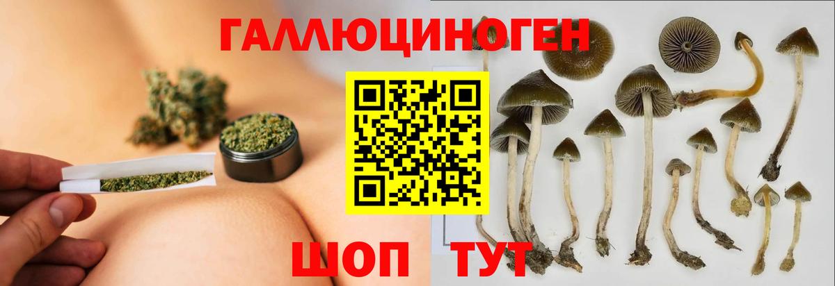 Чапаевск  Галлюциногенные грибы Cubensis  Вход с VPN 