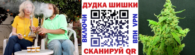 Бошки марихуана план  Чапаевск 